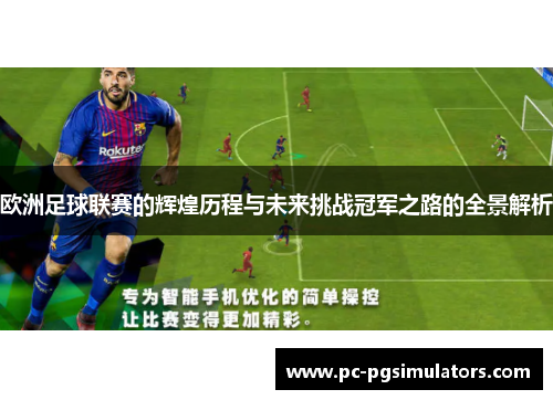 欧洲足球联赛的辉煌历程与未来挑战冠军之路的全景解析