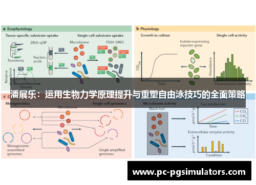 潘展乐：运用生物力学原理提升与重塑自由泳技巧的全面策略