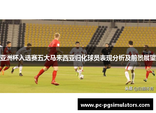 亚洲杯入选赛五大马来西亚归化球员表现分析及前景展望