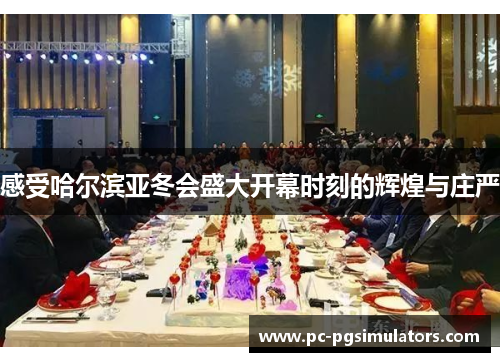 感受哈尔滨亚冬会盛大开幕时刻的辉煌与庄严