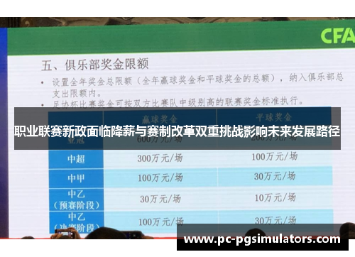 职业联赛新政面临降薪与赛制改革双重挑战影响未来发展路径