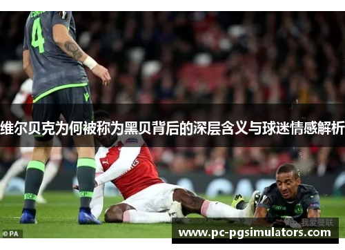 维尔贝克为何被称为黑贝背后的深层含义与球迷情感解析