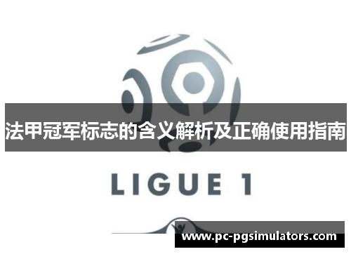 法甲冠军标志的含义解析及正确使用指南