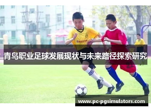 青岛职业足球发展现状与未来路径探索研究