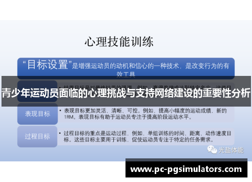 青少年运动员面临的心理挑战与支持网络建设的重要性分析