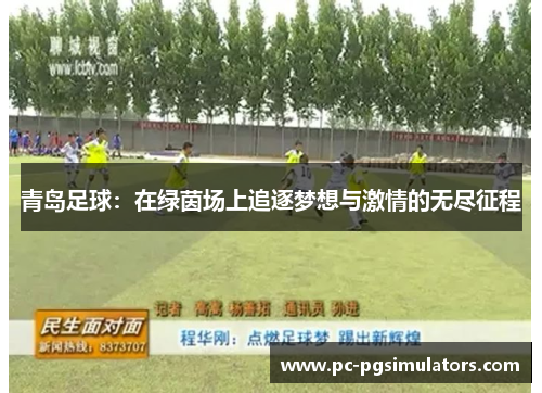 青岛足球：在绿茵场上追逐梦想与激情的无尽征程