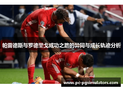 帕雷德斯与罗德里戈成功之路的异同与成长轨迹分析