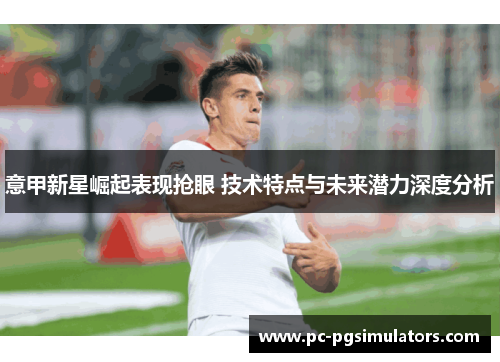 意甲新星崛起表现抢眼 技术特点与未来潜力深度分析