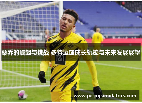桑乔的崛起与挑战 多特边锋成长轨迹与未来发展展望