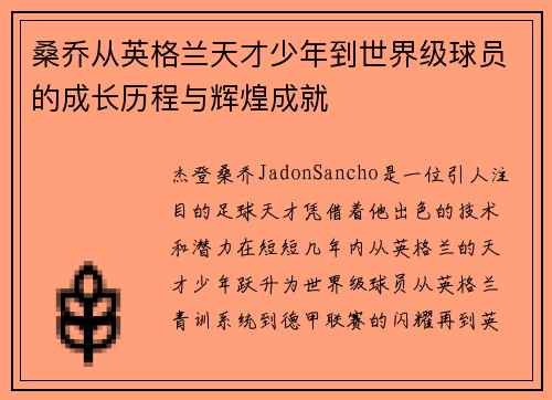 桑乔从英格兰天才少年到世界级球员的成长历程与辉煌成就