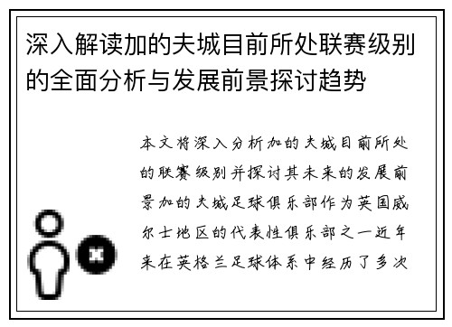 深入解读加的夫城目前所处联赛级别的全面分析与发展前景探讨趋势